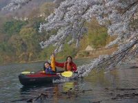 【お花見カヌー】女将と次女　満水の赤谷湖　桜のトンネルをくぐります